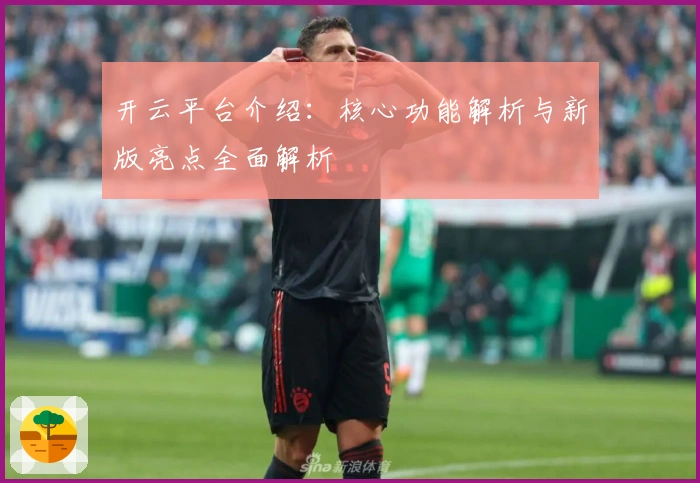 开云平台介绍：核心功能解析与新版亮点全面解析